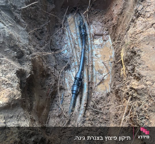 תמונה של צינור מים באדמה עם בוץ ושרשים
